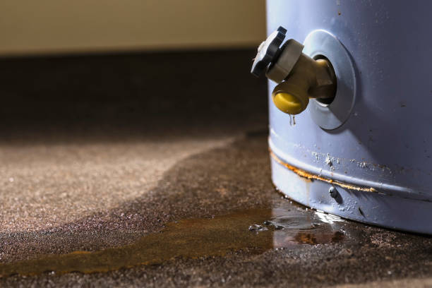 Best Professional water damage repair  in Homewood, AL