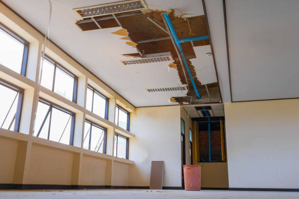 Best Water damage cleanup near me  in Homewood, AL