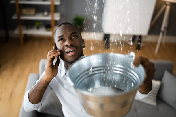 Professional Water damage restoration in Homewood, AL