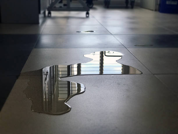 Best Water damage restoration company  in Homewood, AL