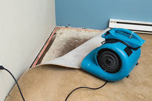 Best Basement water damage restoration  in Homewood, AL